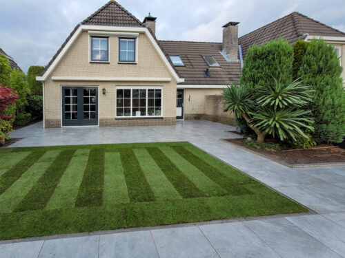 Ontwerp 